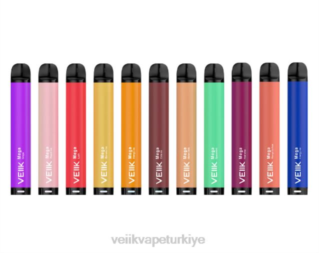 VEIIK Airo Elektronik Sigara - VEIIK Micko Mega tek kullanımlık vape 800 puf 500 mah çoklu tatlar 4282B59