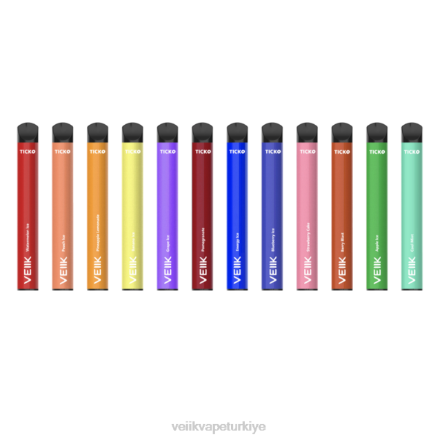 VEIIK Vape Micko Q - VEIIK Ticko tek kullanımlık vape 1200 puf çoklu tatlar 4282B31